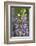 USA, Oregon. Ladybug on Lupine Flower-Steve Terrill-Framed Photographic Print