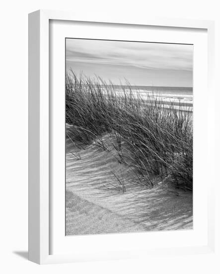 USA, Oregon, Manzanita. Nehalem Bay State Park, Dune grasses wave in the wind-Ann Collins-Framed Photographic Print