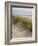 USA, Oregon. Manzanita, Nehalem Bay State Park, Dune grasses wave in the wind-Ann Collins-Framed Photographic Print