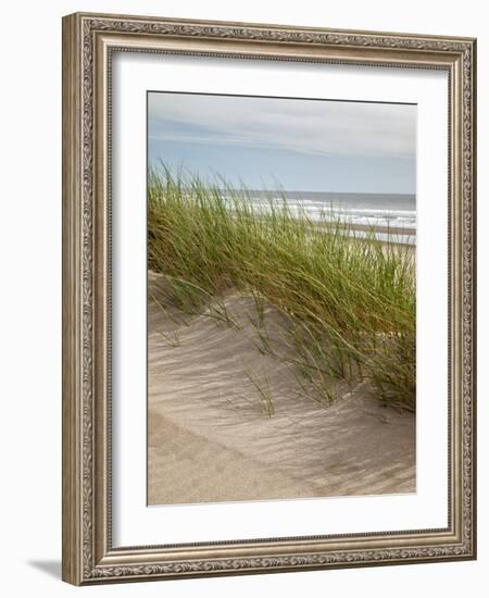 USA, Oregon. Manzanita, Nehalem Bay State Park, Dune grasses wave in the wind-Ann Collins-Framed Photographic Print