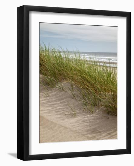 USA, Oregon. Manzanita, Nehalem Bay State Park, Dune grasses wave in the wind-Ann Collins-Framed Photographic Print