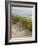 USA, Oregon. Manzanita, Nehalem Bay State Park, Dune grasses wave in the wind-Ann Collins-Framed Photographic Print