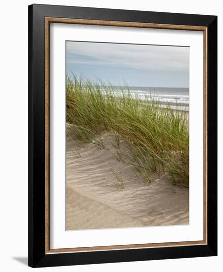 USA, Oregon. Manzanita, Nehalem Bay State Park, Dune grasses wave in the wind-Ann Collins-Framed Photographic Print