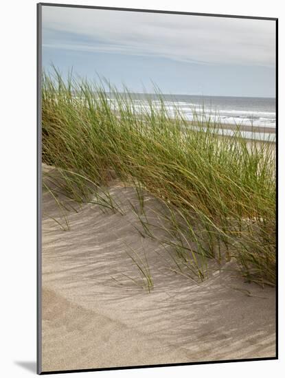 USA, Oregon. Manzanita, Nehalem Bay State Park, Dune grasses wave in the wind-Ann Collins-Mounted Photographic Print