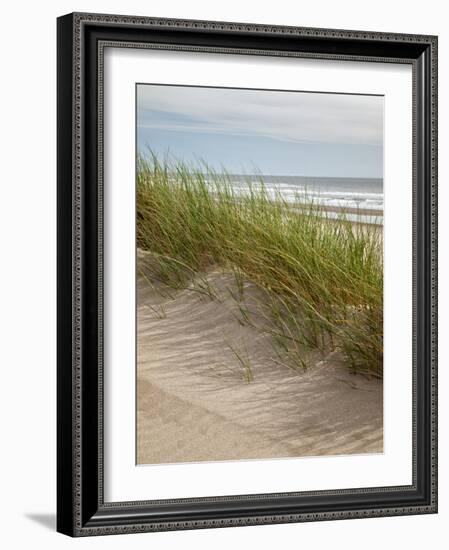 USA, Oregon. Manzanita, Nehalem Bay State Park, Dune grasses wave in the wind-Ann Collins-Framed Photographic Print