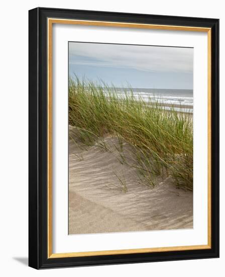 USA, Oregon. Manzanita, Nehalem Bay State Park, Dune grasses wave in the wind-Ann Collins-Framed Photographic Print