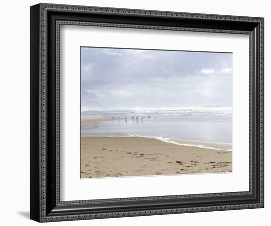 USA, Oregon, Manzanita. Seagulls on ocean shore.-Jaynes Gallery-Framed Photographic Print