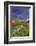USA, Oregon. Milkweed Along the John Day River-Steve Terrill-Framed Photographic Print