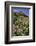 USA, Oregon. Milkweed and Cliff-Steve Terrill-Framed Photographic Print