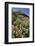 USA, Oregon. Milkweed and Cliff-Steve Terrill-Framed Photographic Print