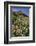USA, Oregon. Milkweed and Cliff-Steve Terrill-Framed Photographic Print