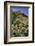 USA, Oregon. Milkweed and Cliff-Steve Terrill-Framed Photographic Print