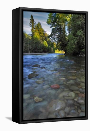 USA, Oregon, Mt. Hood National Forest. Sandy River Landscape-Steve Terrill-Framed Premier Image Canvas