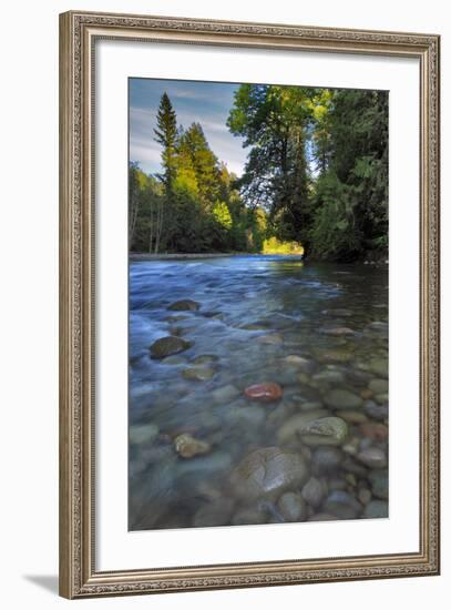 USA, Oregon, Mt. Hood National Forest. Sandy River Landscape-Steve Terrill-Framed Photographic Print