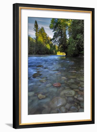 USA, Oregon, Mt. Hood National Forest. Sandy River Landscape-Steve Terrill-Framed Photographic Print