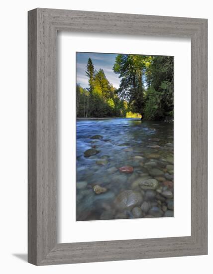 USA, Oregon, Mt. Hood National Forest. Sandy River Landscape-Steve Terrill-Framed Photographic Print