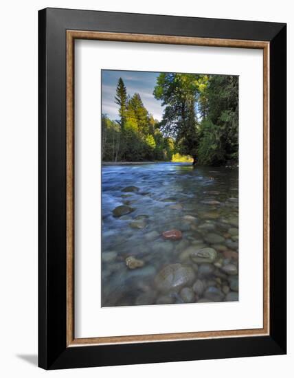 USA, Oregon, Mt. Hood National Forest. Sandy River Landscape-Steve Terrill-Framed Photographic Print