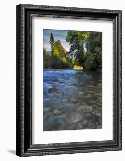 USA, Oregon, Mt. Hood National Forest. Sandy River Landscape-Steve Terrill-Framed Photographic Print