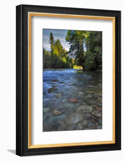 USA, Oregon, Mt. Hood National Forest. Sandy River Landscape-Steve Terrill-Framed Photographic Print