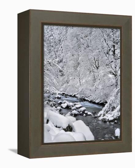 USA, Oregon, Mt. Hood National Forest. Snow on Boulder Creek-Steve Terrill-Framed Premier Image Canvas