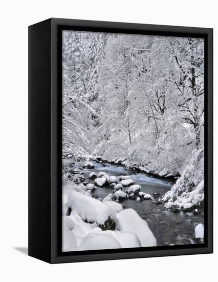 USA, Oregon, Mt. Hood National Forest. Snow on Boulder Creek-Steve Terrill-Framed Premier Image Canvas