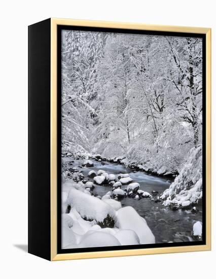 USA, Oregon, Mt. Hood National Forest. Snow on Boulder Creek-Steve Terrill-Framed Premier Image Canvas