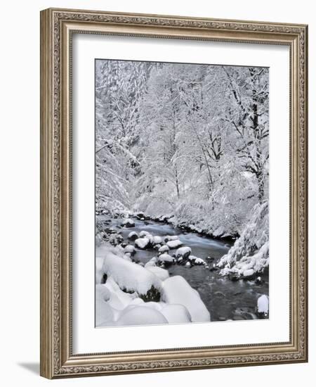 USA, Oregon, Mt. Hood National Forest. Snow on Boulder Creek-Steve Terrill-Framed Photographic Print