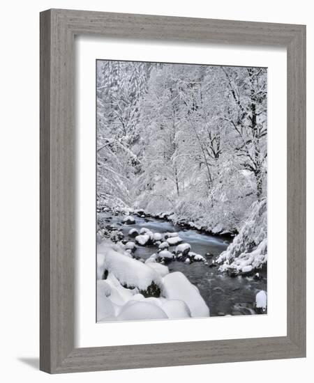 USA, Oregon, Mt. Hood National Forest. Snow on Boulder Creek-Steve Terrill-Framed Photographic Print