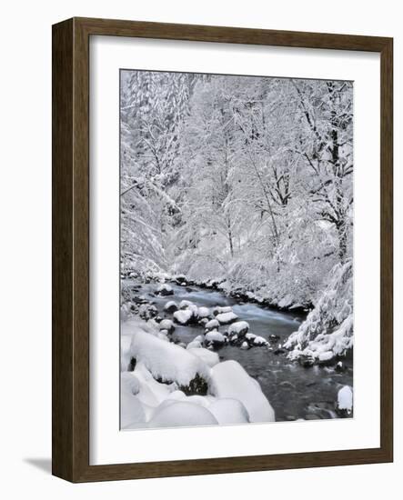 USA, Oregon, Mt. Hood National Forest. Snow on Boulder Creek-Steve Terrill-Framed Photographic Print