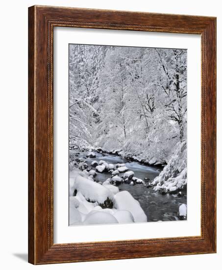 USA, Oregon, Mt. Hood National Forest. Snow on Boulder Creek-Steve Terrill-Framed Photographic Print