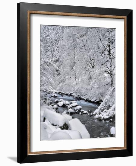 USA, Oregon, Mt. Hood National Forest. Snow on Boulder Creek-Steve Terrill-Framed Photographic Print