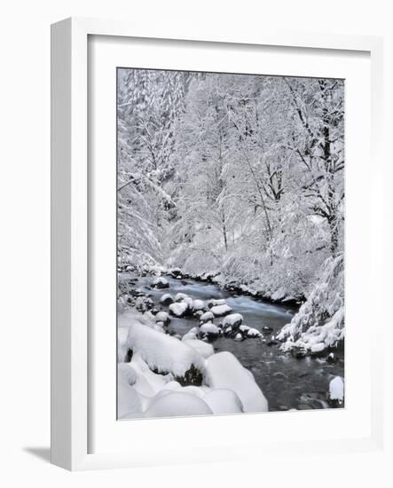 USA, Oregon, Mt. Hood National Forest. Snow on Boulder Creek-Steve Terrill-Framed Photographic Print