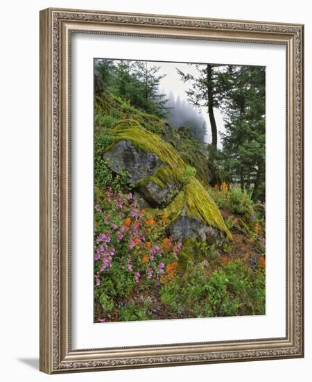 USA, Oregon, Mt. Hood NF. Hillside of Trees and Wildflowers-Steve Terrill-Framed Photographic Print