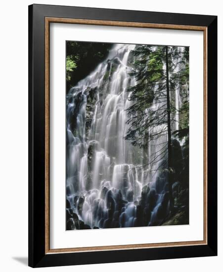 USA, Oregon, Mt. Hood Wilderness. Ramona Falls Landscape-Steve Terrill-Framed Photographic Print