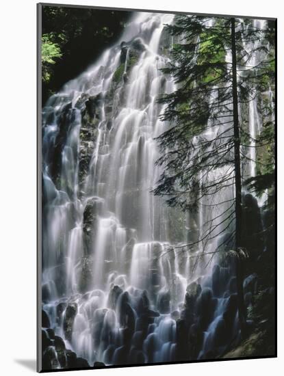 USA, Oregon, Mt. Hood Wilderness. Ramona Falls Landscape-Steve Terrill-Mounted Photographic Print