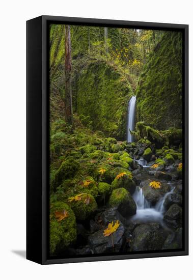 USA, Oregon. Mysterious Mossy Grotto Falls on an Autumn Day in the Columbia Gorge-Gary Luhm-Framed Premier Image Canvas