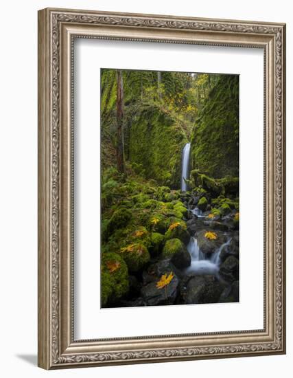 USA, Oregon. Mysterious Mossy Grotto Falls on an Autumn Day in the Columbia Gorge-Gary Luhm-Framed Photographic Print