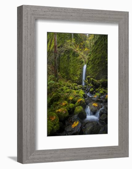 USA, Oregon. Mysterious Mossy Grotto Falls on an Autumn Day in the Columbia Gorge-Gary Luhm-Framed Photographic Print