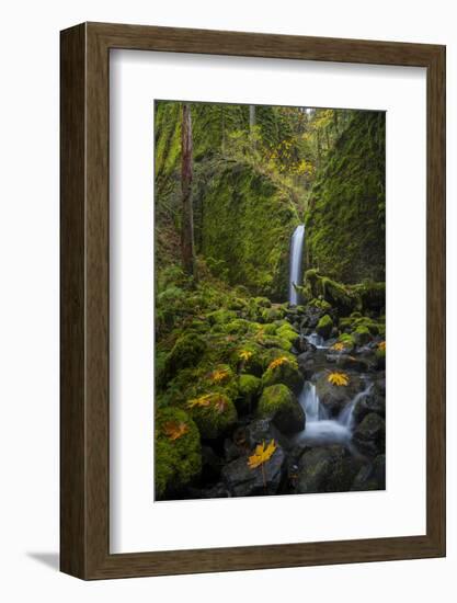 USA, Oregon. Mysterious Mossy Grotto Falls on an Autumn Day in the Columbia Gorge-Gary Luhm-Framed Photographic Print