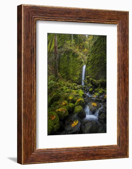 USA, Oregon. Mysterious Mossy Grotto Falls on an Autumn Day in the Columbia Gorge-Gary Luhm-Framed Photographic Print