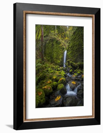 USA, Oregon. Mysterious Mossy Grotto Falls on an Autumn Day in the Columbia Gorge-Gary Luhm-Framed Photographic Print