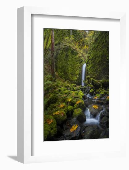 USA, Oregon. Mysterious Mossy Grotto Falls on an Autumn Day in the Columbia Gorge-Gary Luhm-Framed Photographic Print