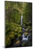 USA, Oregon. Mysterious Mossy Grotto Falls on an Autumn Day in the Columbia Gorge-Gary Luhm-Mounted Photographic Print