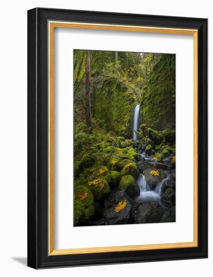 USA, Oregon. Mysterious Mossy Grotto Falls on an Autumn Day in the Columbia Gorge-Gary Luhm-Framed Photographic Print