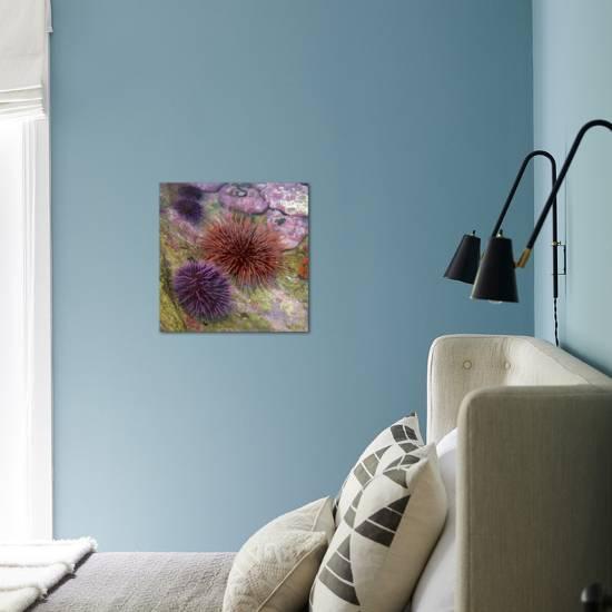 Usa Oregon Newport Sea Urchins In A Tide Pool Exhibit Photographic Print By Jaynes Gallery Art Com