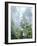 USA, Oregon, Old-Growth Douglas Fir Tree in the Rainforest-Jaynes Gallery-Framed Photographic Print