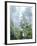 USA, Oregon, Old-Growth Douglas Fir Tree in the Rainforest-Jaynes Gallery-Framed Photographic Print