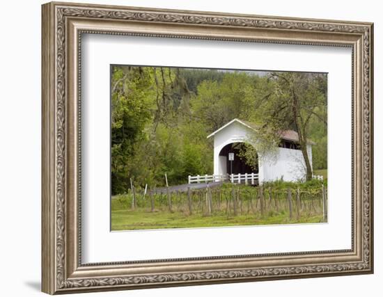 USA, Oregon, Philomath. Harris Bridge Vineyard by the Covered Bridge-Janis Miglavs-Framed Photographic Print