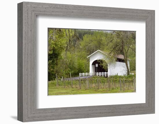 USA, Oregon, Philomath. Harris Bridge Vineyard by the Covered Bridge-Janis Miglavs-Framed Photographic Print