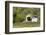 USA, Oregon, Philomath. Harris Bridge Vineyard by the Covered Bridge-Janis Miglavs-Framed Photographic Print